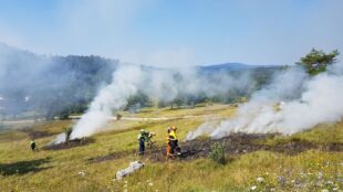Brandweerlieden bestrijden smeulende bermbrand in droog heidegebied